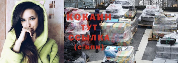 шишки Вязники