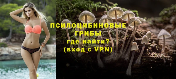 гашиш Вяземский