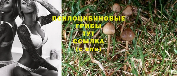шишки Вязники
