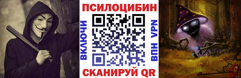 магазин    Ростов-на-Дону  Псилоцибиновые грибы прущие грибы 